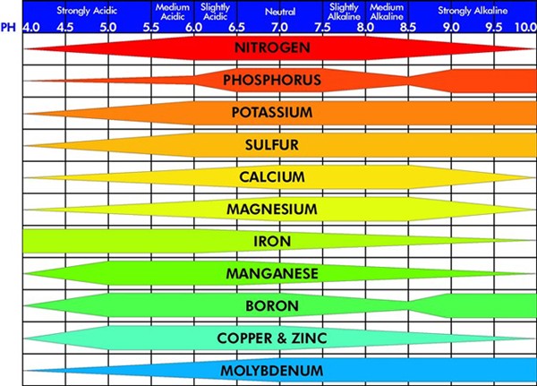 Click image for larger version

Name:	pHChart.jpg
Views:	158
Size:	89.3 KB
ID:	260574