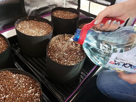 Click image for larger version  Name:	watering-the-coco-coir-before-inserting-plants.jpg Views:	1 Size:	312.1 KB ID:	230948