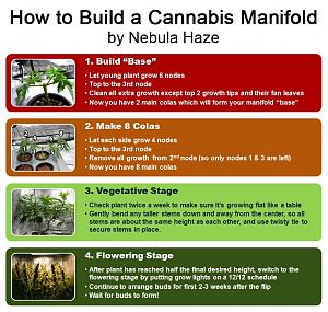 Click image for larger version

Name:	how-to-build-cannabis-manifold-nebula.jpg
Views:	388
Size:	158.5 KB
ID:	232746
