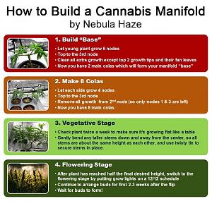 Click image for larger version

Name:	how-to-build-cannabis-manifold-nebula.jpg
Views:	310
Size:	158.5 KB
ID:	232746