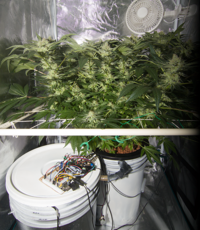Click image for larger version

Name:	IMG_7130-cropped.png
Views:	264
Size:	8.38 MB
ID:	199346