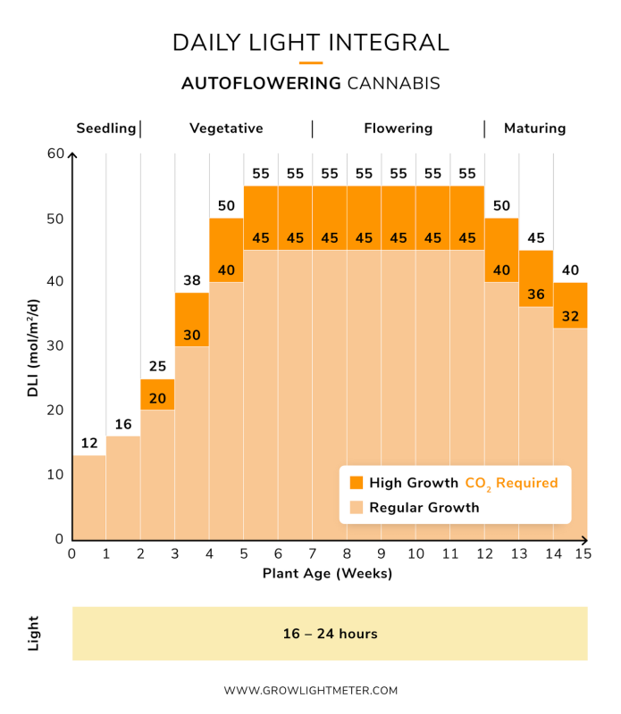 Click image for larger version

Name:	cannabis-dli-cycle-autos-1.png
Views:	283
Size:	231.4 KB
ID:	621204