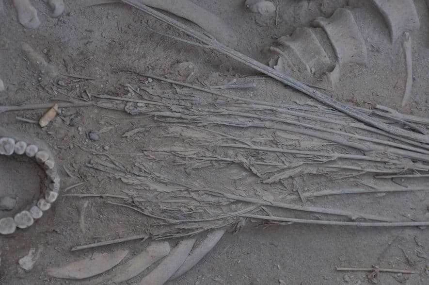 Click image for larger version

Name:	AncientCannabisBurialShroud.jpg
Views:	92
Size:	116.2 KB
ID:	184711