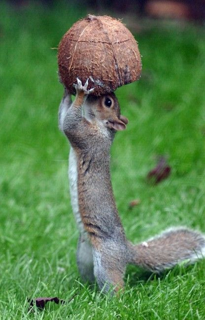 Click image for larger version

Name:	1f9cf49cf9b2deeadb7afc37ebbdcef7.jpg
Views:	331
Size:	88.5 KB
ID:	623832