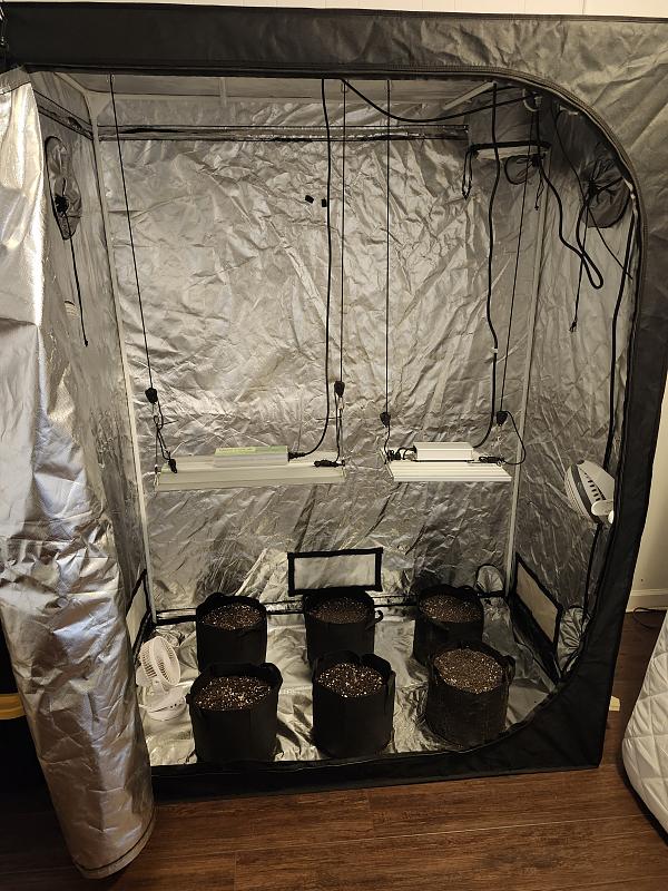 Click image for larger version

Name:	Tent ready to go.jpg
Views:	216
Size:	3.20 MB
ID:	624516