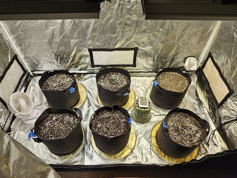 Click image for larger version

Name:	Seeds planted in their pots and watered.jpg
Views:	168
Size:	3.91 MB
ID:	625547