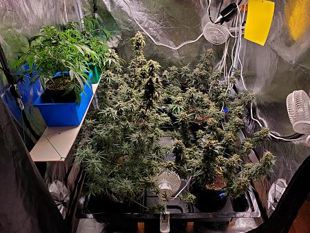 Click image for larger version

Name:	20240707_094019.jpg
Views:	0
Size:	4.01 MB
ID:	659409