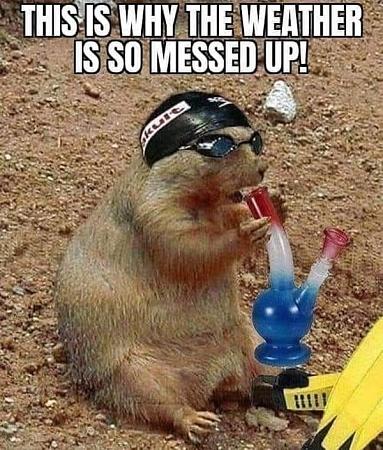 Click image for larger version

Name:	GROUND HOG BONG.jpg
Views:	54
Size:	147.1 KB
ID:	640939