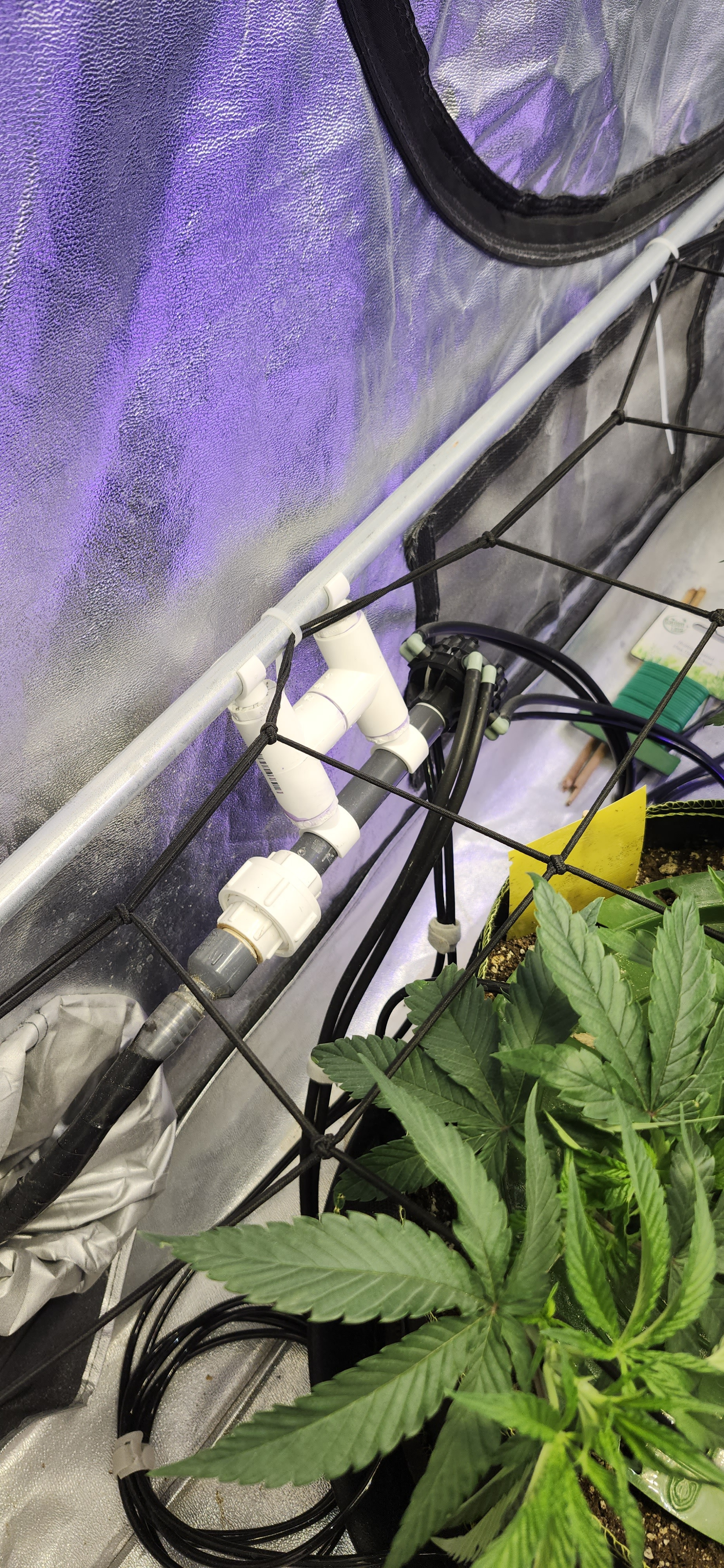Click image for larger version

Name:	05262025 Irrigation setup.jpg
Views:	53
Size:	2.45 MB
ID:	648162