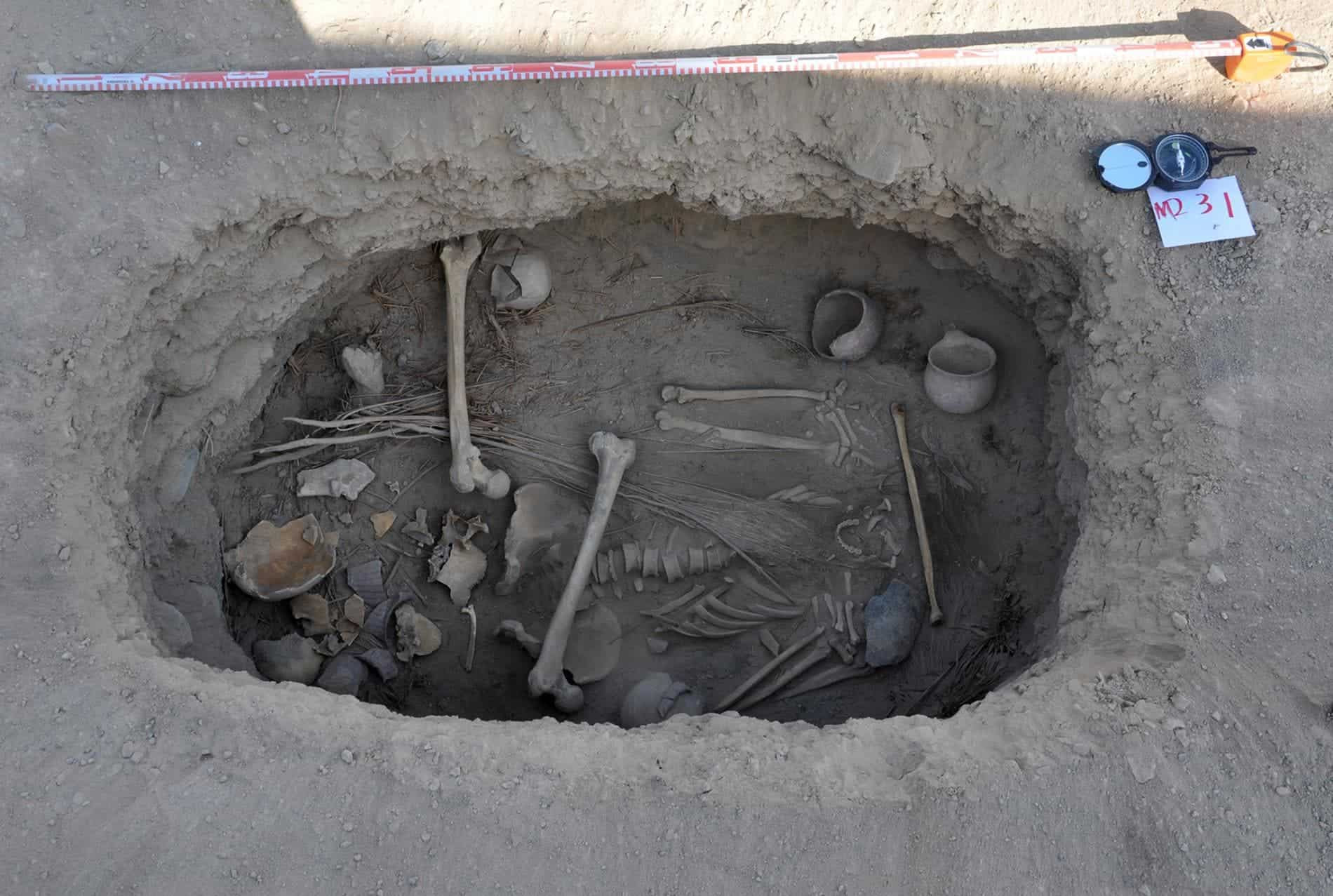 Click image for larger version

Name:	01_pot_burial.ngsversion.1475602282338.adapt_.1900.1.jpg
Views:	0
Size:	328.3 KB
ID:	655394