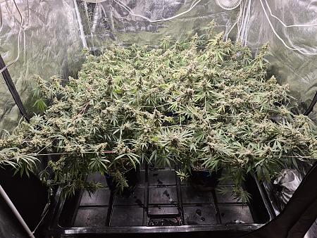 Click image for larger version

Name:	20250911_101429.jpg
Views:	55
Size:	4.43 MB
ID:	659613