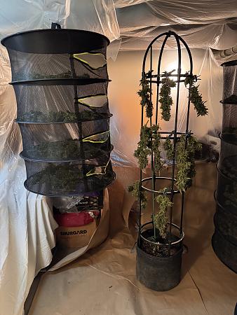 Click image for larger version

Name:	IMG_1356.jpg
Views:	27
Size:	4.70 MB
ID:	658742