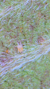 Click image for larger version

Name:	2025_10_12_15_12_37_318.png
Views:	19
Size:	1.49 MB
ID:	660823