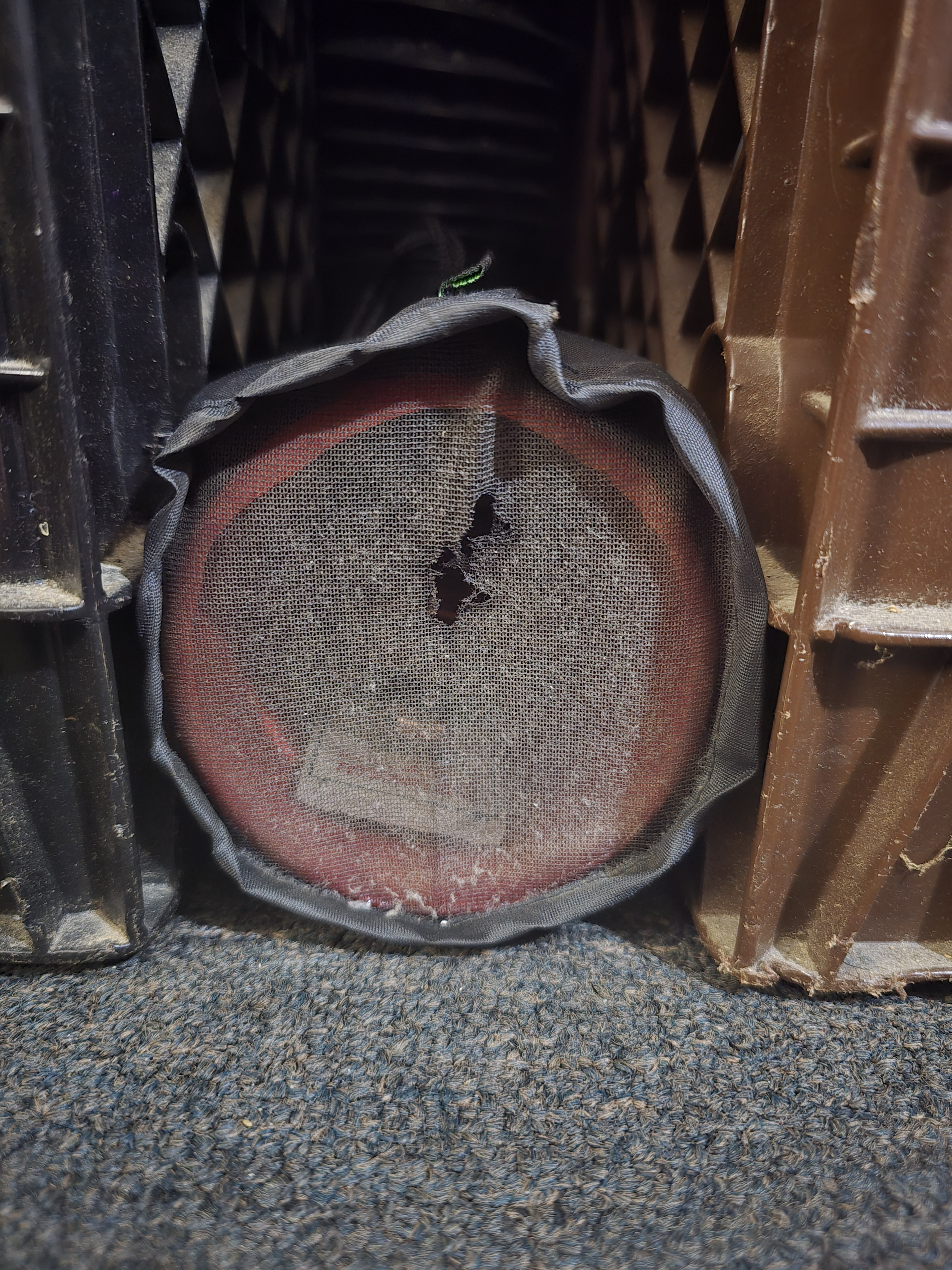 Click image for larger version

Name:	20251031_160122.jpg
Views:	8
Size:	3.12 MB
ID:	659124