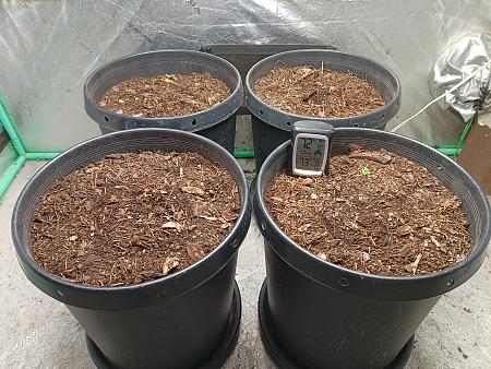 Click image for larger version

Name:	IMG_20251013_175904670.jpg
Views:	0
Size:	4.18 MB
ID:	659146