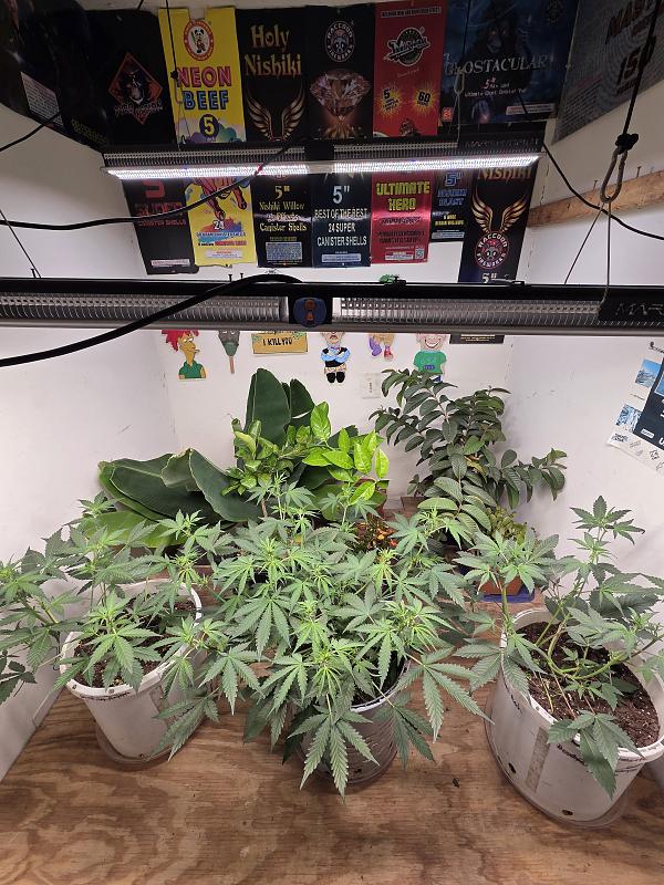 Click image for larger version

Name:	20251102_171222.jpg
Views:	48
Size:	2.97 MB
ID:	659223