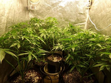 Click image for larger version

Name:	100_0973.jpg
Views:	20
Size:	4.15 MB
ID:	659370