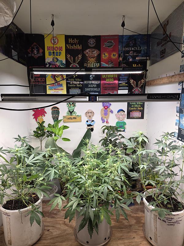 Click image for larger version

Name:	20251108_143555.jpg
Views:	26
Size:	3.35 MB
ID:	659414