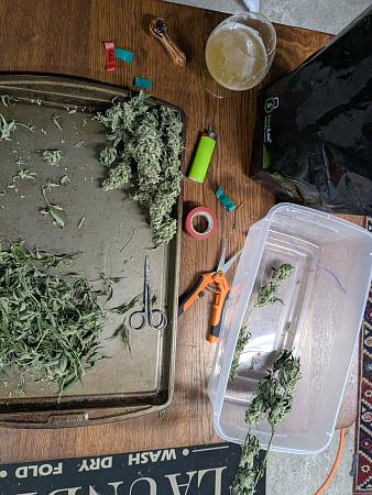 Click image for larger version

Name:	PXL_20251110_014237314.MP.jpg
Views:	41
Size:	3.62 MB
ID:	659451