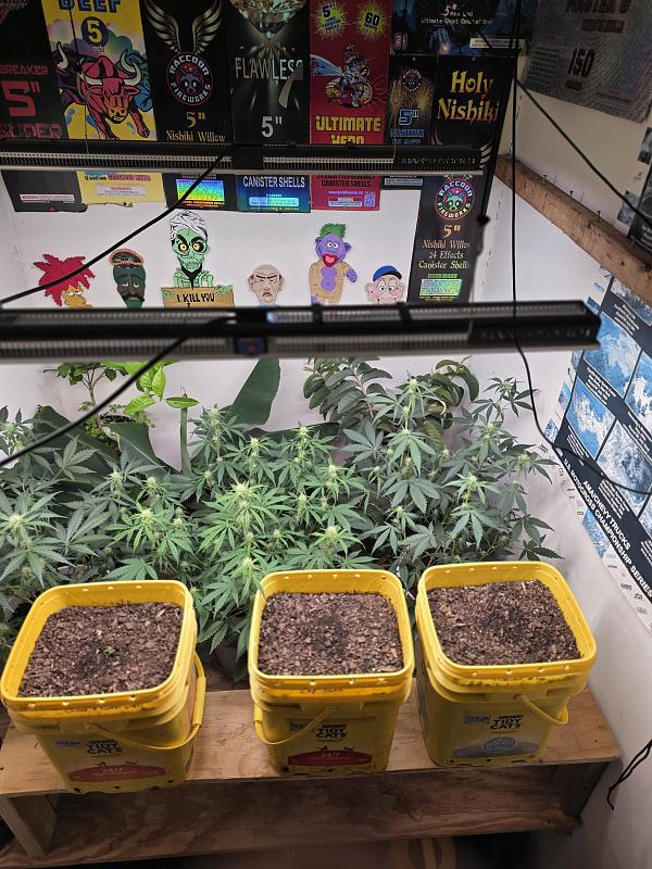 Click image for larger version  Name:	20251112_165946.jpg Views:	1 Size:	2.56 MB ID:	659587