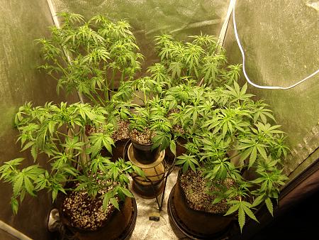 Click image for larger version

Name:	100_0975.jpg
Views:	62
Size:	4.15 MB
ID:	659622