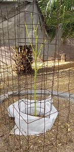 Click image for larger version

Name:	20251113_151917.jpg
Views:	69
Size:	2.79 MB
ID:	659663