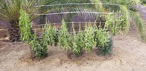 Click image for larger version

Name:	20251113_151958.jpg
Views:	45
Size:	3.54 MB
ID:	660062