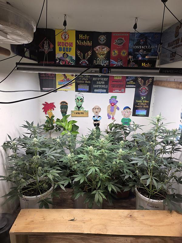 Click image for larger version

Name:	20251117_170631.jpg
Views:	16
Size:	3.06 MB
ID:	659890