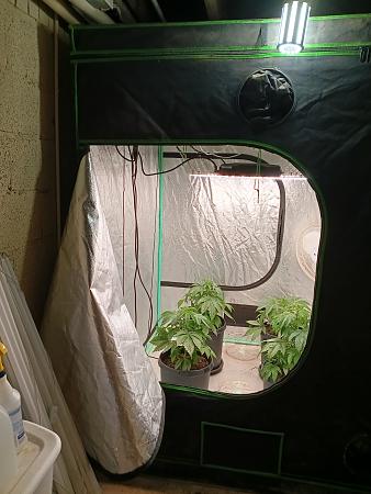 Click image for larger version

Name:	IMG_20251119_074749246_HDR.jpg
Views:	6
Size:	2.60 MB
ID:	659943