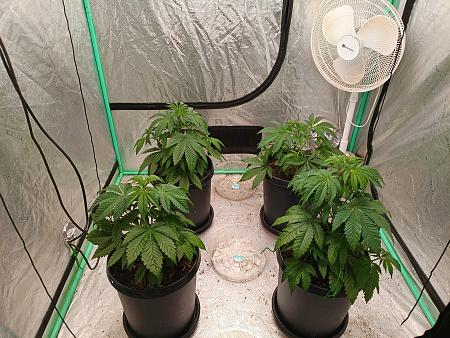 Click image for larger version

Name:	IMG_20251119_074731297.jpg
Views:	6
Size:	4.39 MB
ID:	659944