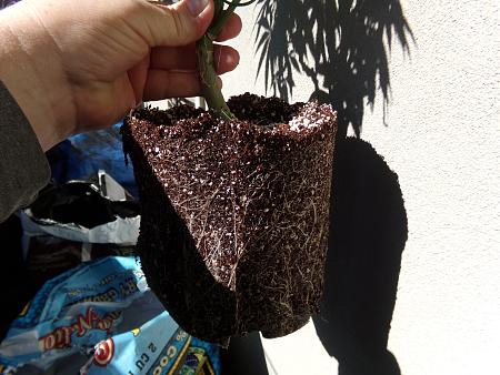 Click image for larger version

Name:	100_0988.jpg
Views:	74
Size:	2.96 MB
ID:	659959