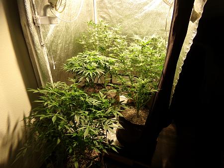 Click image for larger version

Name:	100_0995.jpg
Views:	89
Size:	3.45 MB
ID:	659964