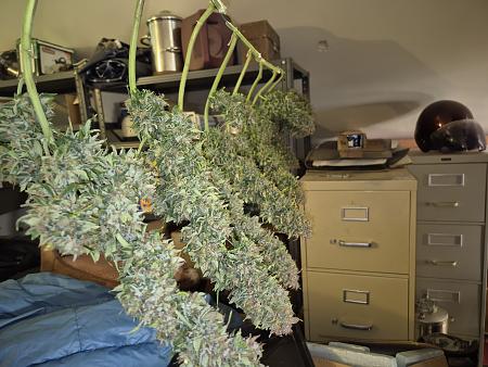 Click image for larger version

Name:	20250810_112117.jpg
Views:	17
Size:	2.91 MB
ID:	660195