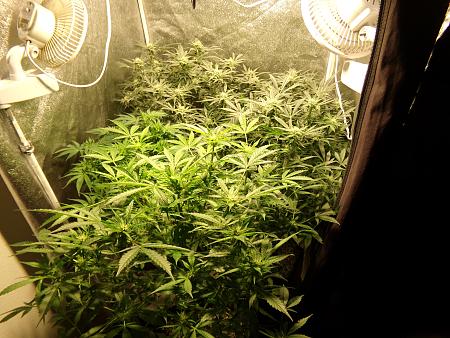 Click image for larger version

Name:	100_0999.jpg
Views:	9
Size:	3.67 MB
ID:	660246