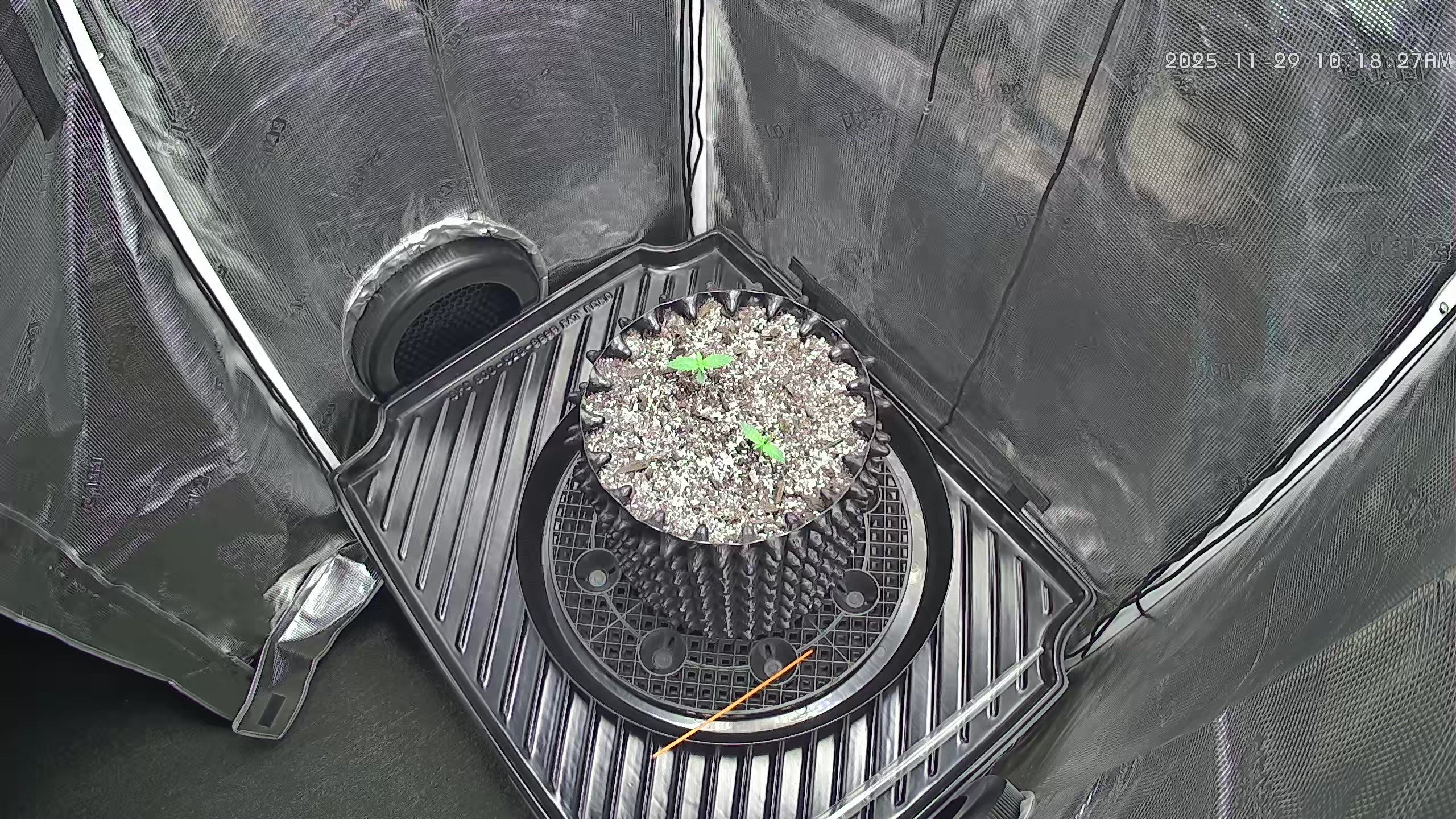 Click image for larger version

Name:	2025-11-29.jpg
Views:	31
Size:	1.35 MB
ID:	660281