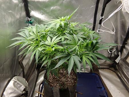 Click image for larger version

Name:	100_1008.jpg
Views:	7
Size:	3.67 MB
ID:	660362