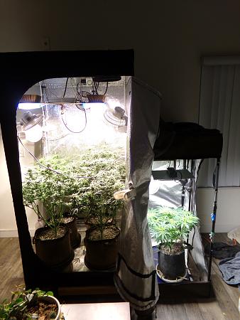 Click image for larger version

Name:	100_1010.jpg
Views:	7
Size:	2.27 MB
ID:	660363