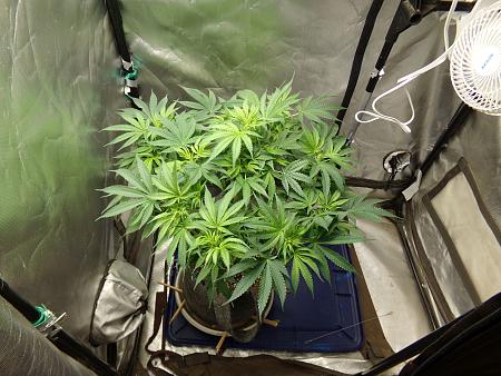 Click image for larger version

Name:	100_1009.jpg
Views:	6
Size:	3.54 MB
ID:	660364