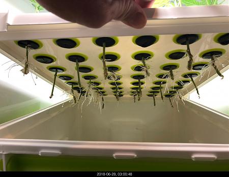 Click image for larger version

Name:	IMG_8712.jpg
Views:	577
Size:	1.75 MB
ID:	220527