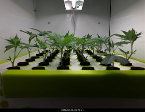 Click image for larger version

Name:	IMG_8710.jpg
Views:	575
Size:	1.34 MB
ID:	220528