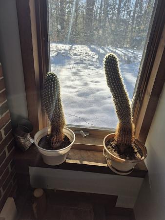 Click image for larger version

Name:	20251209_115124.jpg
Views:	27
Size:	3.23 MB
ID:	660698