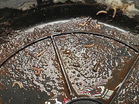 Click image for larger version  Name:	IMG_20251211_093252497.jpg Views:	0 Size:	4.62 MB ID:	660792