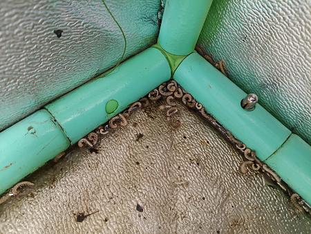 Click image for larger version  Name:	IMG_20251211_093304813.jpg Views:	0 Size:	3.29 MB ID:	660793