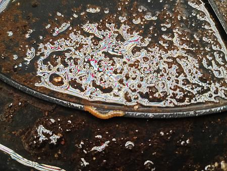 Click image for larger version  Name:	IMG_20251211_093239447.jpg Views:	0 Size:	3.58 MB ID:	660794