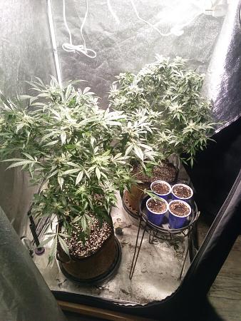 Click image for larger version  Name:	IMG_20251211_073951_564.jpg Views:	0 Size:	2.28 MB ID:	660800