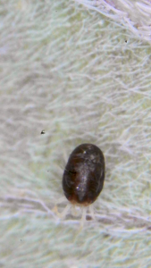 Click image for larger version

Name:	2025_10_19_13_27_55_032.png
Views:	19
Size:	920.7 KB
ID:	660819