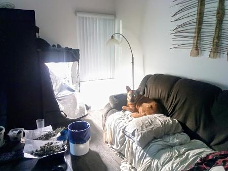 Click image for larger version

Name:	thumbnail_IMG_20251214_161445_020~2.jpg
Views:	11
Size:	522.6 KB
ID:	660939