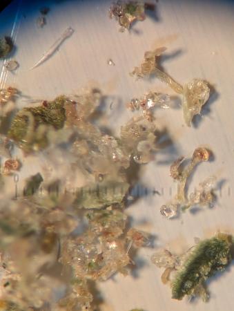 Click image for larger version

Name:	PXL_20251218_231047942.jpg
Views:	29
Size:	1.47 MB
ID:	661002