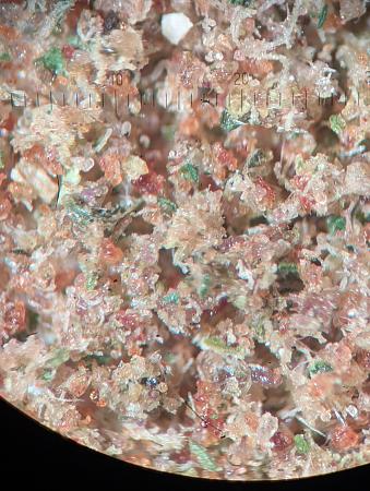 Click image for larger version

Name:	PXL_20251217_022922787.jpg
Views:	25
Size:	2.71 MB
ID:	661007