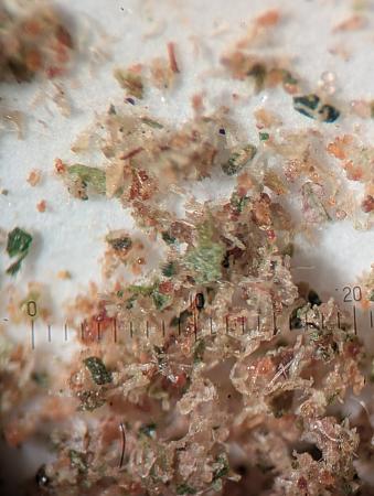 Click image for larger version

Name:	PXL_20251217_023051259.jpg
Views:	23
Size:	1.91 MB
ID:	661008